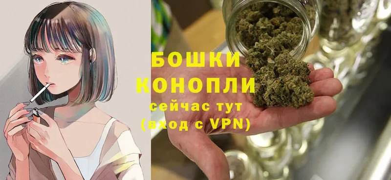 закладки  Кулебаки  Бошки Шишки White Widow 